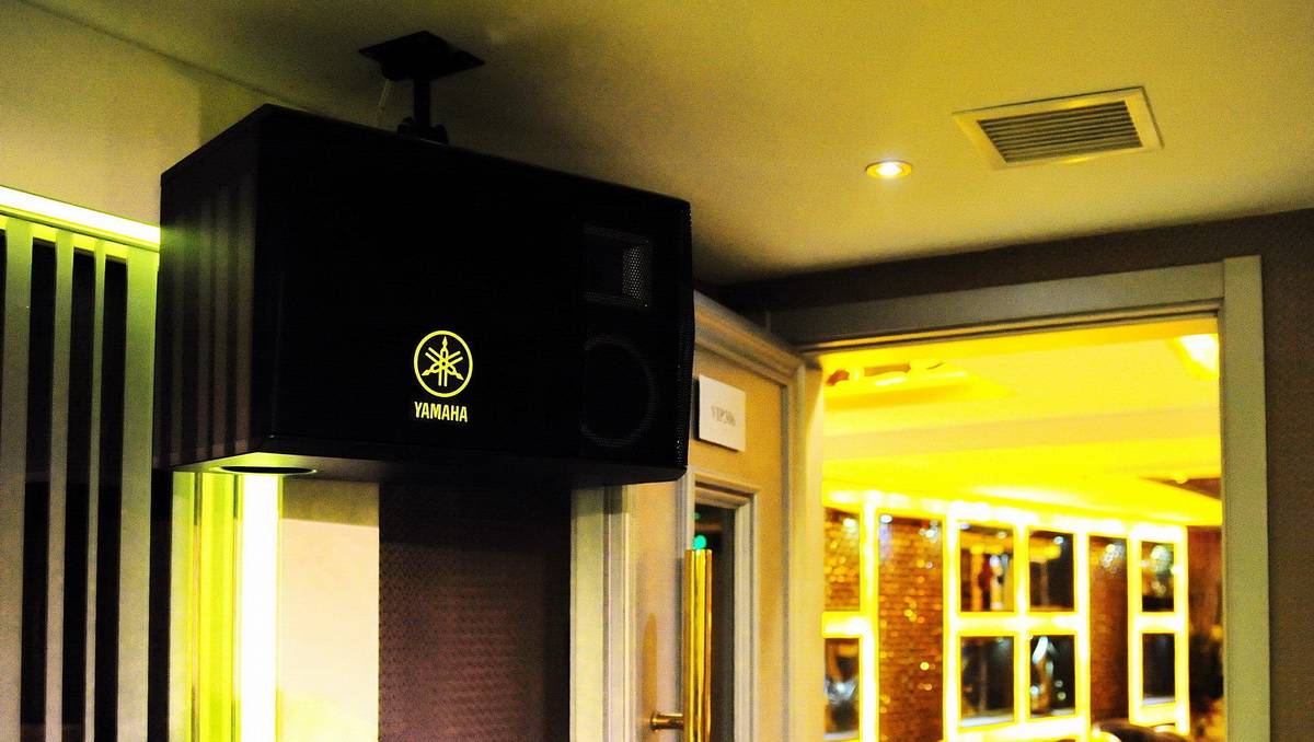 强强北京国际商务酒店——大发28高端KMS-2500音箱的酒店KTV运用
