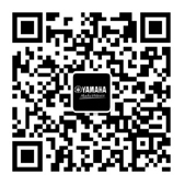 【通知】2022年9月21日起 大发28吉他产品价格小幅上调