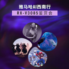 大发28Ai西南行·重庆站·RX-V3085鉴赏会