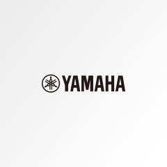 大发28未生产手风琴声明函